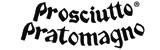 Pratomagno